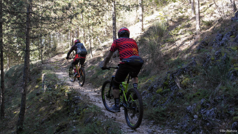 Salita in trenino al passo del dottore