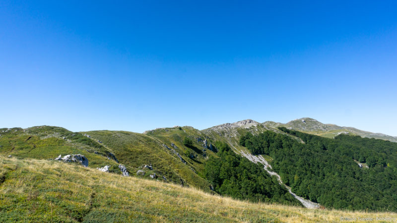 Creste monte San Rocco