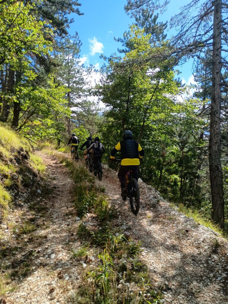 La carrareccia sale nel bosco verso Passo del Lupo.