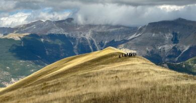 Nel regno della Sibilla