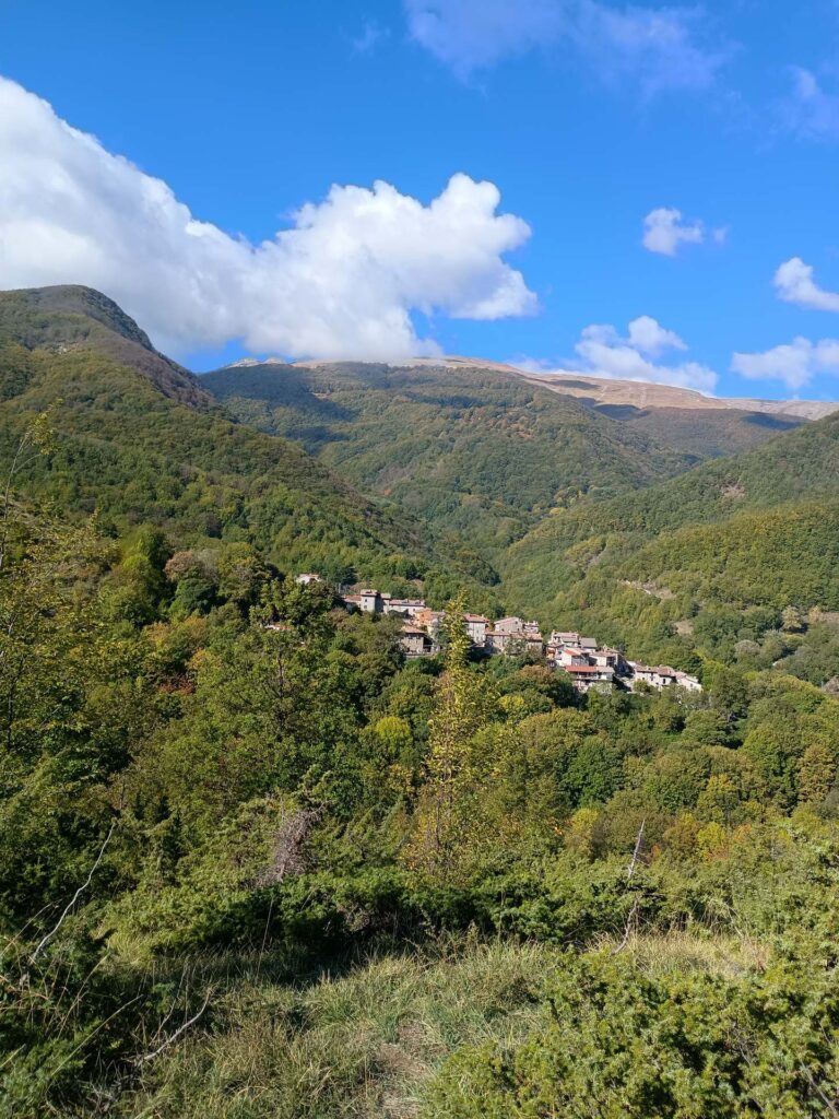 Tetti e case del borgo tra i versanti boscosi.