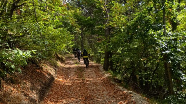 Nel regno della Sibilla