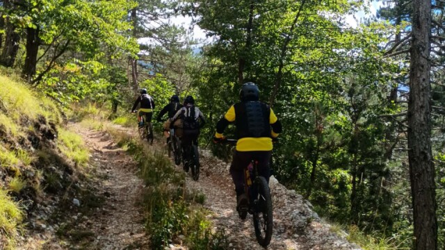 La carrareccia sale nel bosco verso Passo del Lupo. Nel regno della Sibilla