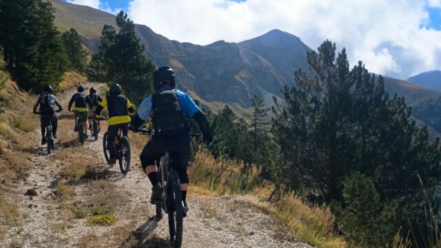 Nel regno della Sibilla