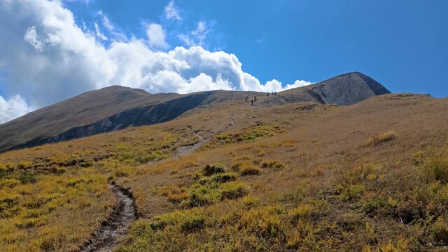 Nel regno della Sibilla