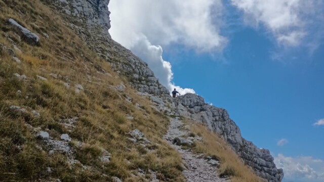 Nel regno della Sibilla