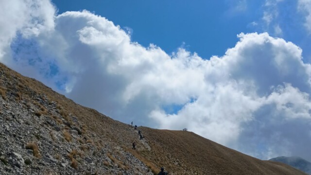 Nel regno della Sibilla