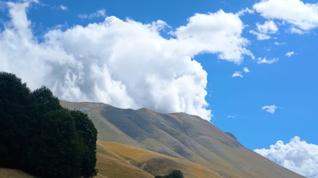 Nel regno della Sibilla