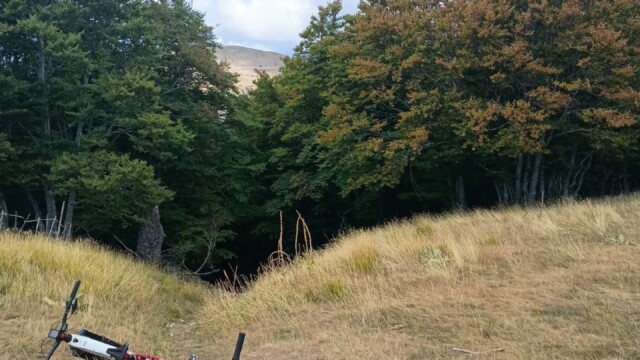 Nel regno della Sibilla