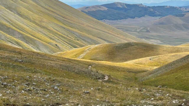 Nel regno della Sibilla