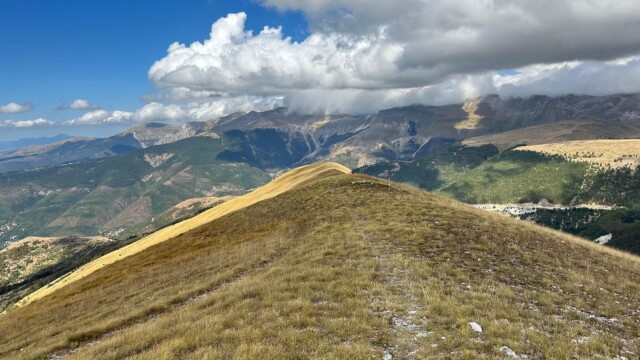 Nel regno della Sibilla