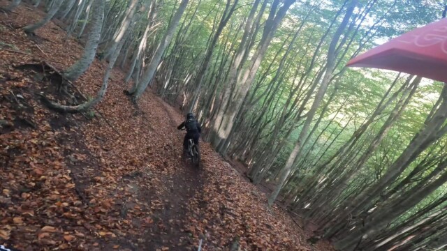 Discesa nel bosco sul tappeto di foglie autunnali. Cortino Enduro, la prima edizione nel cuore della Laga